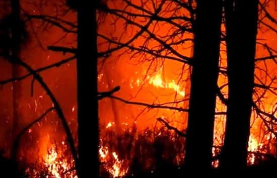 उत्तराखंड : नहीं थम रही जंगलों में आग घटनाएं, 1 हजार हेक्टेयर से अधिक जंगल जलकर राख, 5 की मौत