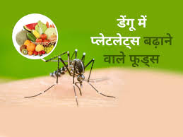ये दस सुपरफूड्स बढ़ाएंगे आपके प्लेटलेट काउंट