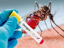 बरसात के दिनों में Dengue मच्छरों से बचने के लिए करें उपाय 