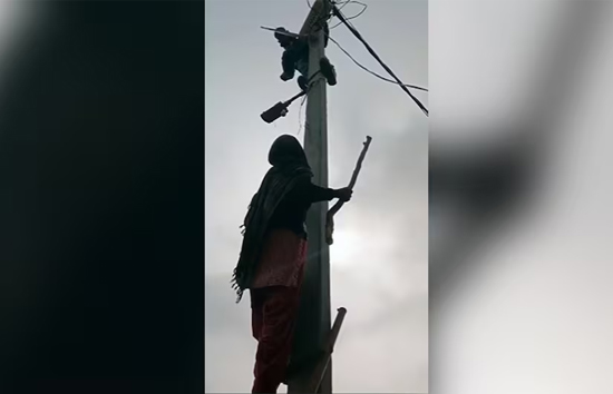 बिल बकाया होने पर बिजली काटने के लिए खंभे पर चढ़ा लाइनमैन, डण्डा लेकर सीढ़ी पर चढ़ गई महिला 