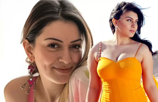 हंसिका मोटवानी और सोहेल कथूरिया का हुआ तलाक, 4 साल में टूटी शादी 