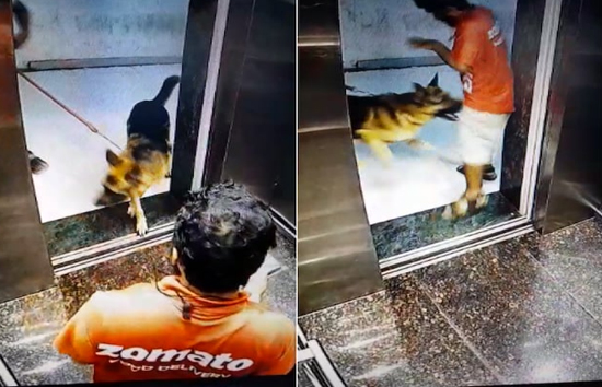 अब जोमैटो डिलिवरी बॉय के प्राइवेट पार्ट पर कुत्ते ने किया हमला, अस्पताल में भर्ती, वीडियो वायरल  