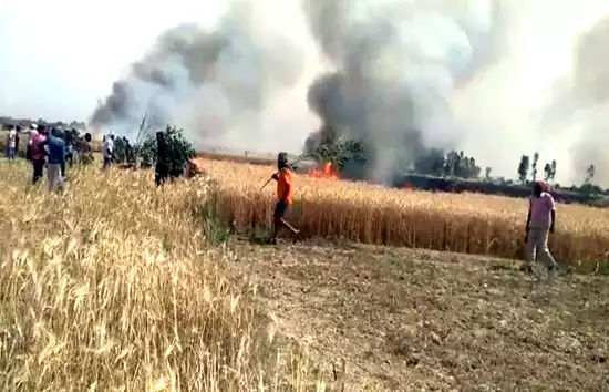 खेतों में लगी आग, 35 बीघा गेहूं की फसल जलकर राख, देखते रह गए किसान  