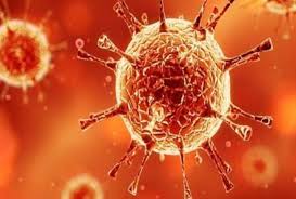 कोरोना का कहर: पहली बार दुनिया में एक दिन में साढ़े तीन लाख ज्यादा आए CORONA केस, अबतक कुल 3.71 करोड़ संक्रमित