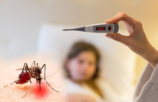 देशभर में डेंगू के 80 हजार से ज्यादा मरीज, 12 राज्यों में 60 मरीजों की हो चुकी मौत