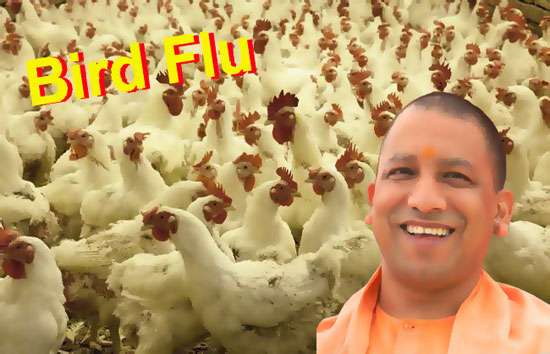 Bird Flu के खतरे को देखते हुए राज्य सरकार ने यूपी को घोषित किया Controlled Area