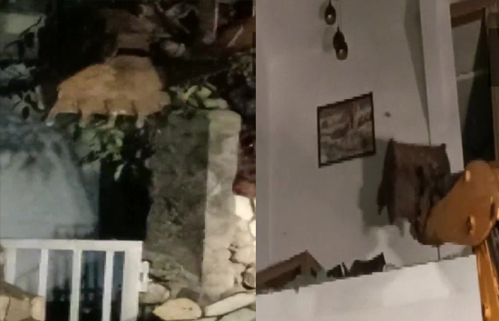 अंकिता भंडारी हत्याकांड : ऐक्शन में सीएम धामी, देर रात आरोपी के अवैध रिसॉर्ट पर चला बुलडोजर