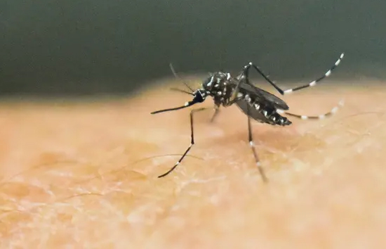 राजधानी में डेंगू के मरीज कम लेकिन सर्दी, जुखाम और बुखार के बढ़े मरीज 
