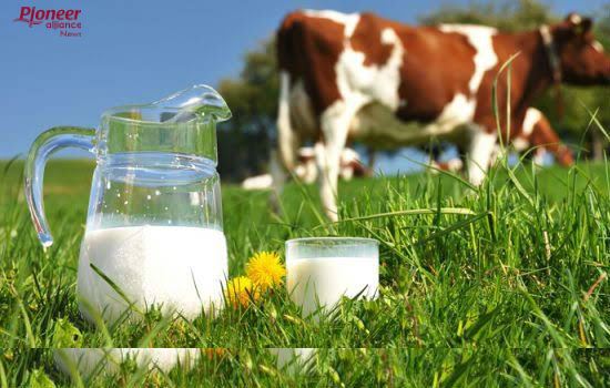 क्या आपको पता है, कैसे बढ़ाये जाते हैं दूध के दाम?