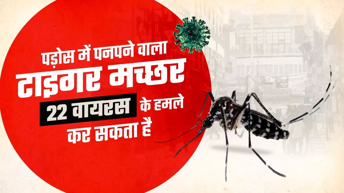 डेंगू का स्ट्र्रन-2 तेजी से फैल रहा हैं जानें - वजह 