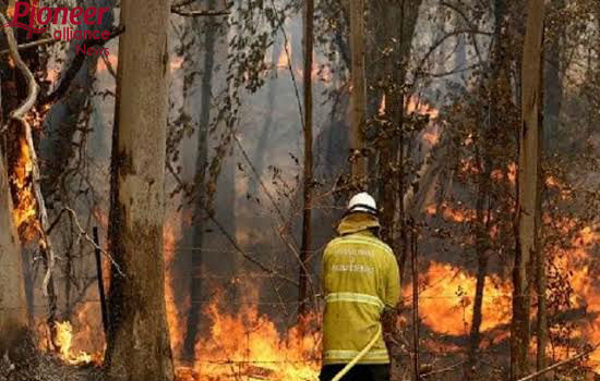  ऑस्ट्रेलिया: जंगलों में लगी भयानक आग में 50 करोड़ जानवरों की मौत