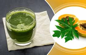 पपीते के पत्तों  का जूस पीने से मिलेंगे ये कई फायदें 