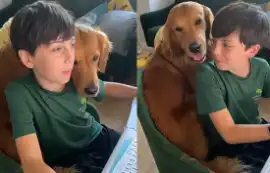 बच्चे के होमवर्क करने में कुत्ता करता है इस तरह मदद, देखें वीडियो