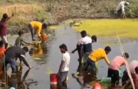 गाजीपुर में सरसों के तेल से लदा टैंकर पलटा...गड्ढे बने तालाब, मच गई लूट 