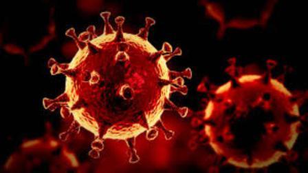 वायरस म्यूटेट का क्या है मतलब, इंग्लैंड में फिर मिला कोरोना का नया स्ट्रेन और संक्रमित मरीज