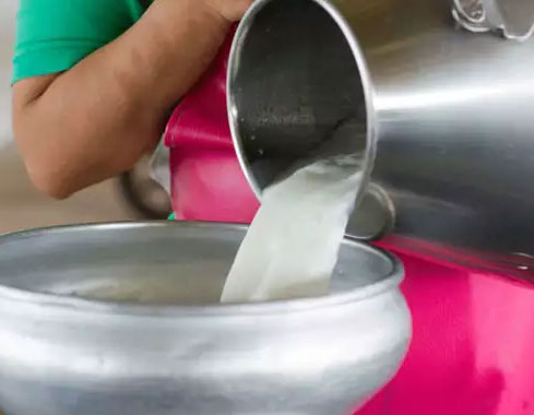 शर्मनाक: मिला 'लाजवाब' मिड डे मील, 81 बच्चों में बांट दिया 1 लीटर दूध