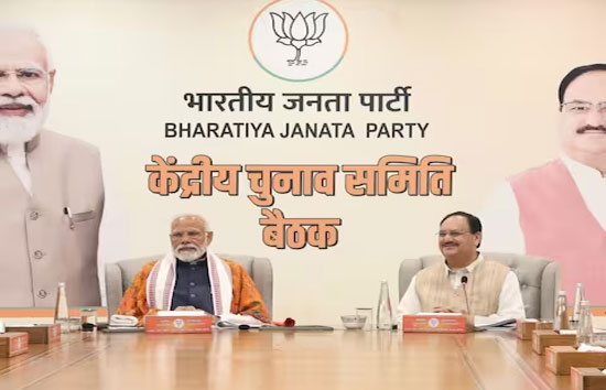 दिल्ली में बीजेपी सिर्फ 2 उम्मीदवारों को दोबारा देगी टिकट, 5 को करेगी आउट, नए चेहरों को मिलेगा मौका 