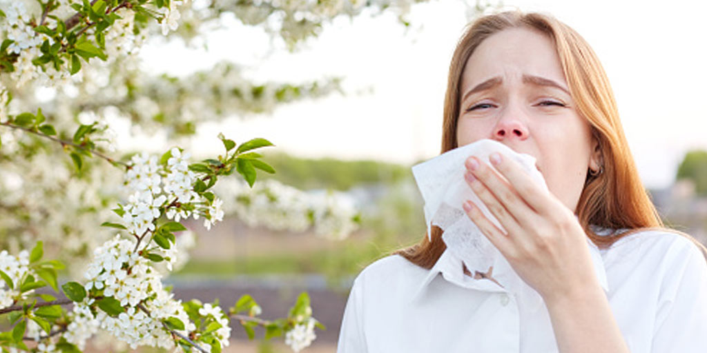 अगर आप एलर्जी से परेशान हैं तो यहां दिए जा रहे घरेलू नुस्खों को आजमाएं जरूर 