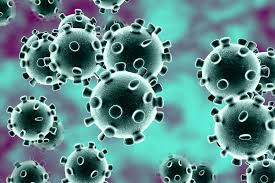 पाकिस्तान में कोरोना वायरस से संक्रमितों की संख्या 2,67,428 हुई