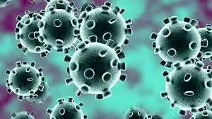 कोरोना वायरस का बरपा कहर, 24 घंटे चार लाख संक्रमित मरीज आए सामने