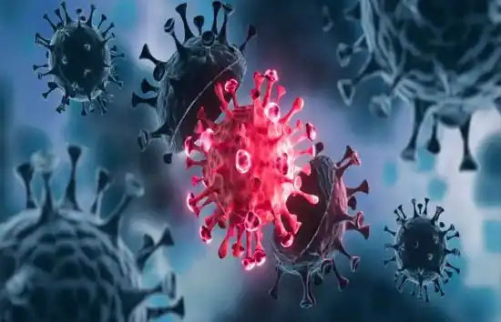 Coronavirus New Cases In India : पिछले 24 घंटे में कोरोना के 43,071 नए केस, 955 लोगों की मौत 