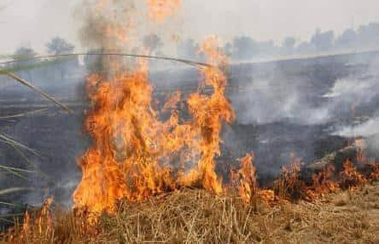हरदोई में पराली जलाने के मामले में 66 किसानों पर FIR, लेखपाल पर गिरी गाज 