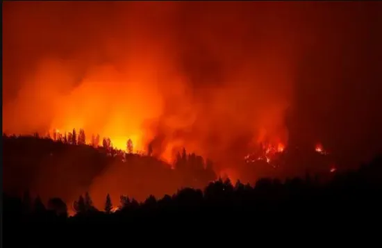 अमेरिका के कैलिफोर्निया में भीषण आग: तेज हवाओं ने बढ़ाई आफत