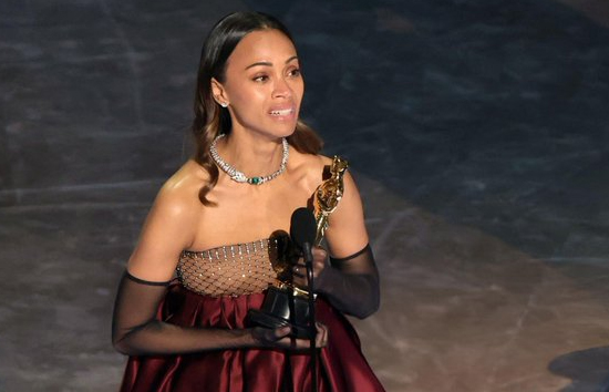 Oscar Awards 2025 : बेस्ट एक्टर बने एड्रियन ब्रॉडी, अनुजा का ऑस्कर जीतने का सपना टूटा 