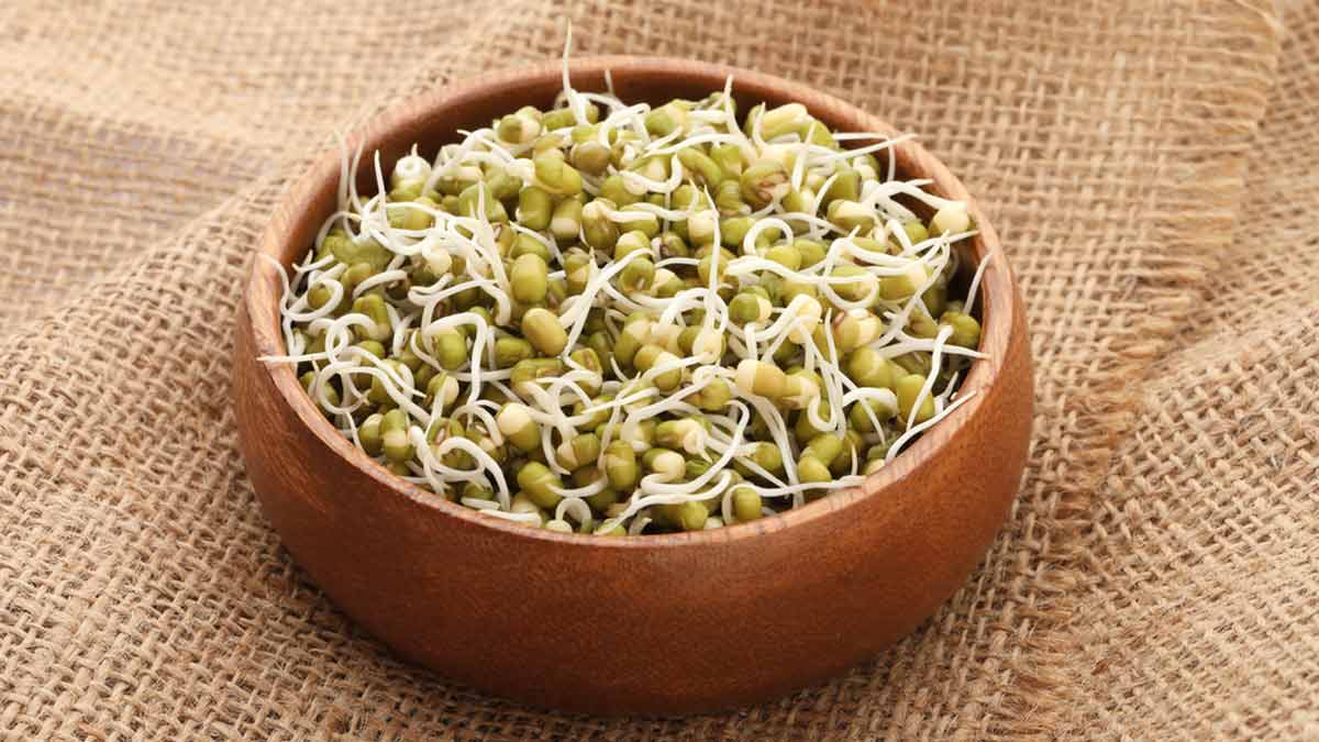 अपनी डाइट में स्प्राउट्स शामिल करने के फायदे जान कर आप भी हो जायेंगे हैरान 