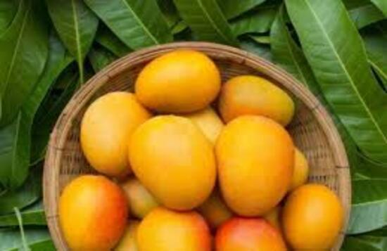 गर्मियों में आम खाने के ये फायदे जान, आप भी रह जाएंगे हैरान 