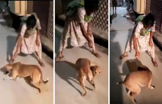 बदायूं : महिला ने चूहे की पूंछ बांधकर कुत्ते को खिलाया, वीडियो वायरल, एनिमल्स एक्टिविस्ट ने दर्ज कराया मुकदमा 